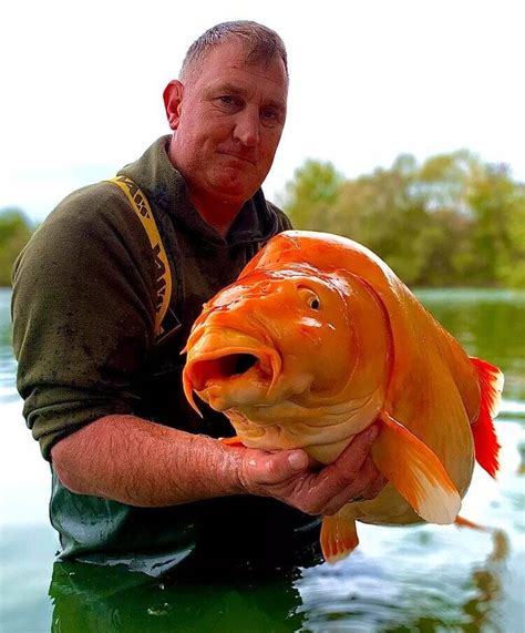 BIG FISH .